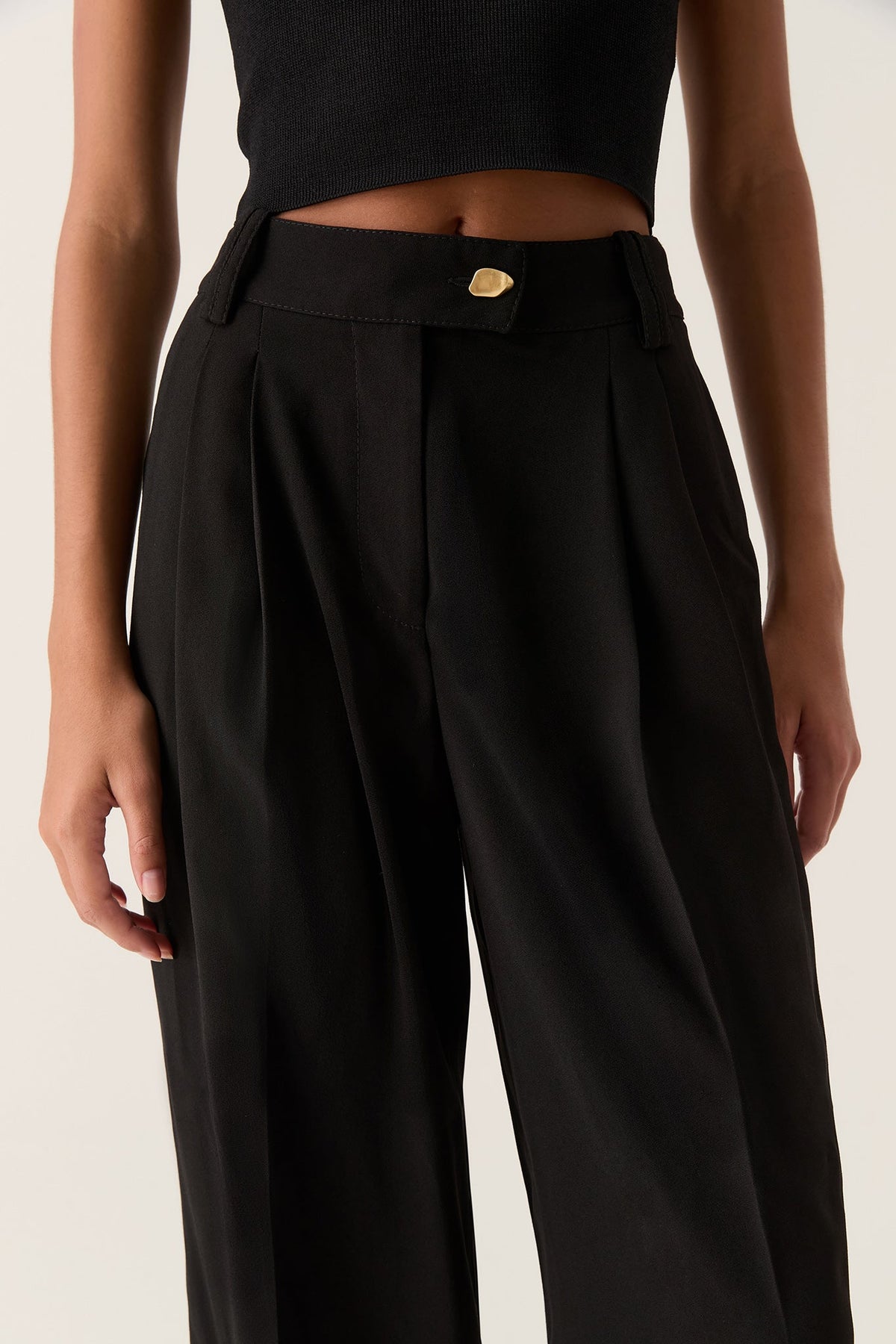 Women Harlem Pleat Front Pant | Aje