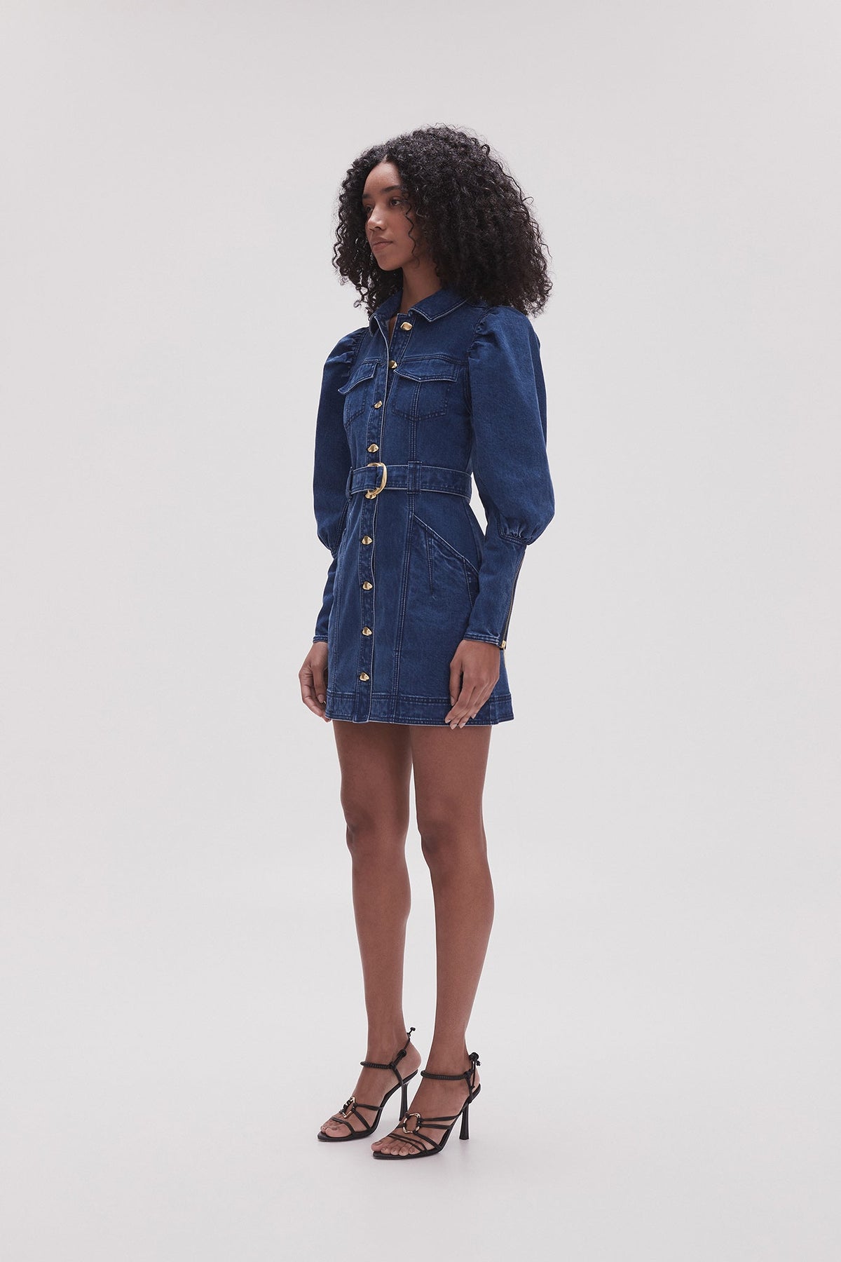 Women May Denim Long Sleeve Dress | Aje