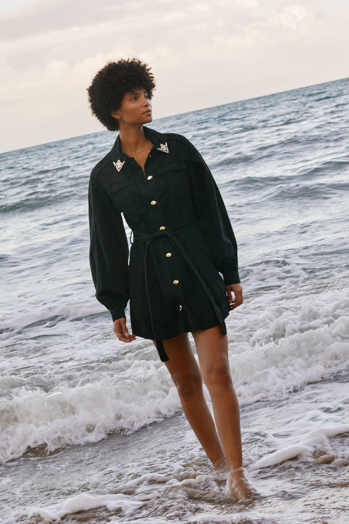 Women Lola Denim Mini Dress | Aje