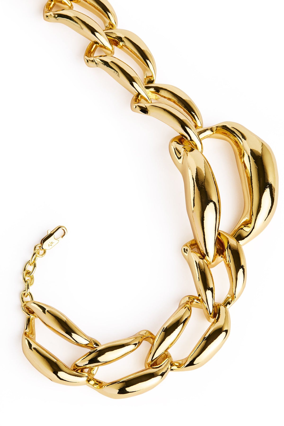 Women Paloma Bold Chain Necklace | Aje