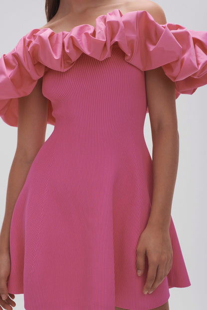 Women Eldora Mini Dress | Aje