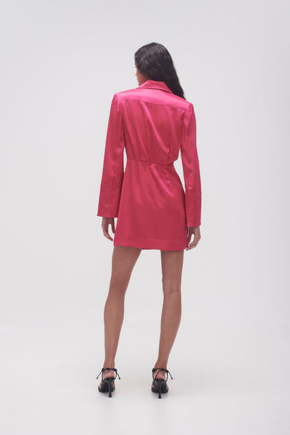 Women Echo Mini Shirt Dress | Aje
