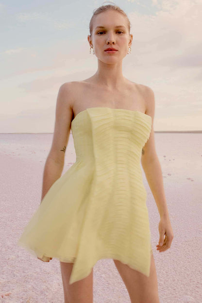 Women Astrid Strapless Mini Dress | Aje