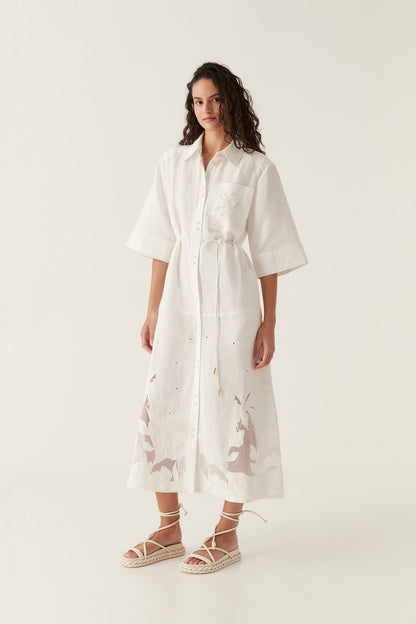 Women Agua Embroidered Shirt Dress | Aje