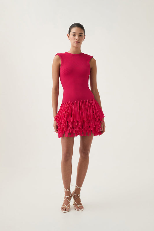 Women Rushes Raffia Knit Mini Dress | Aje