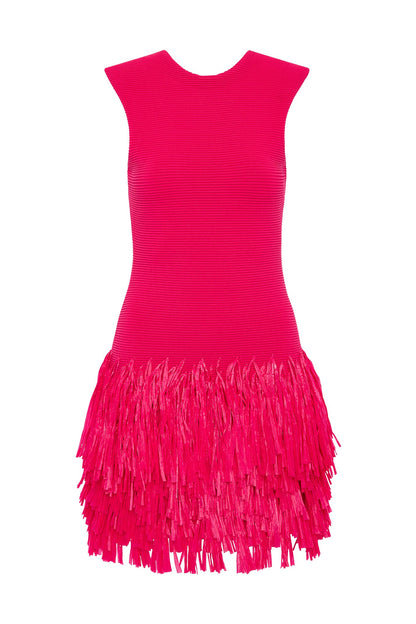 Women Rushes Raffia Knit Mini Dress | Aje