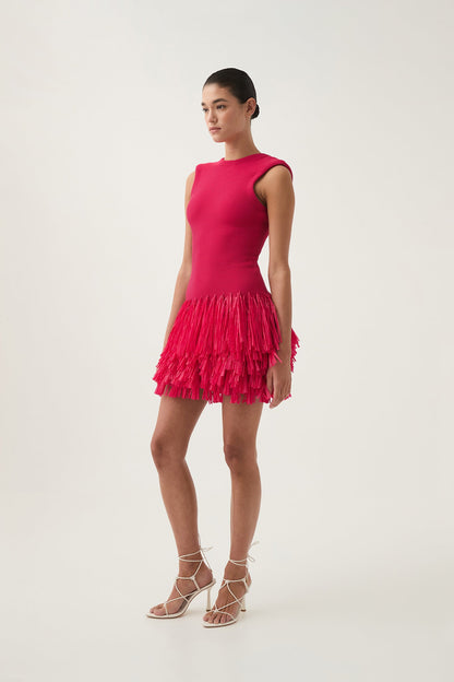 Women Rushes Raffia Knit Mini Dress | Aje