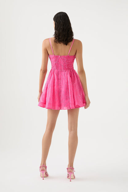 Women Evangeline Cornelli Mini Dress | Aje