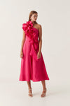 Bougainvillea Red