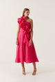 Bougainvillea Red