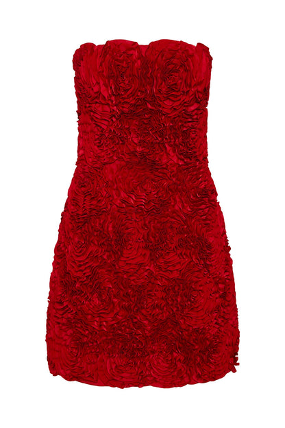 Women Gazer Rosette Mini Dress | Aje