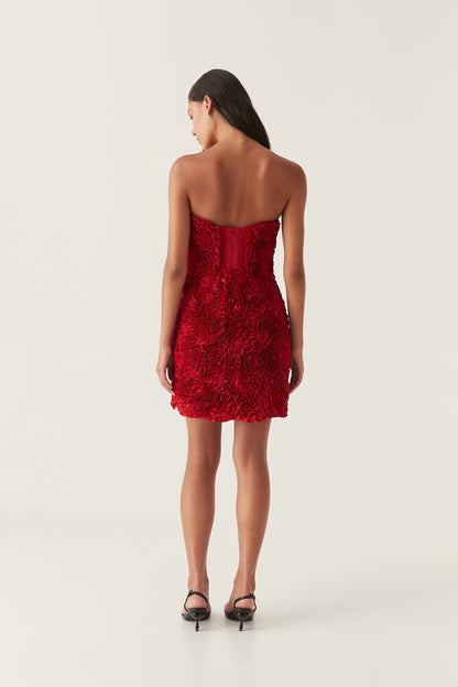 Women Gazer Rosette Mini Dress | Aje